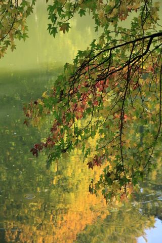 Autumn in the Solvay Domain (La Hulpe)