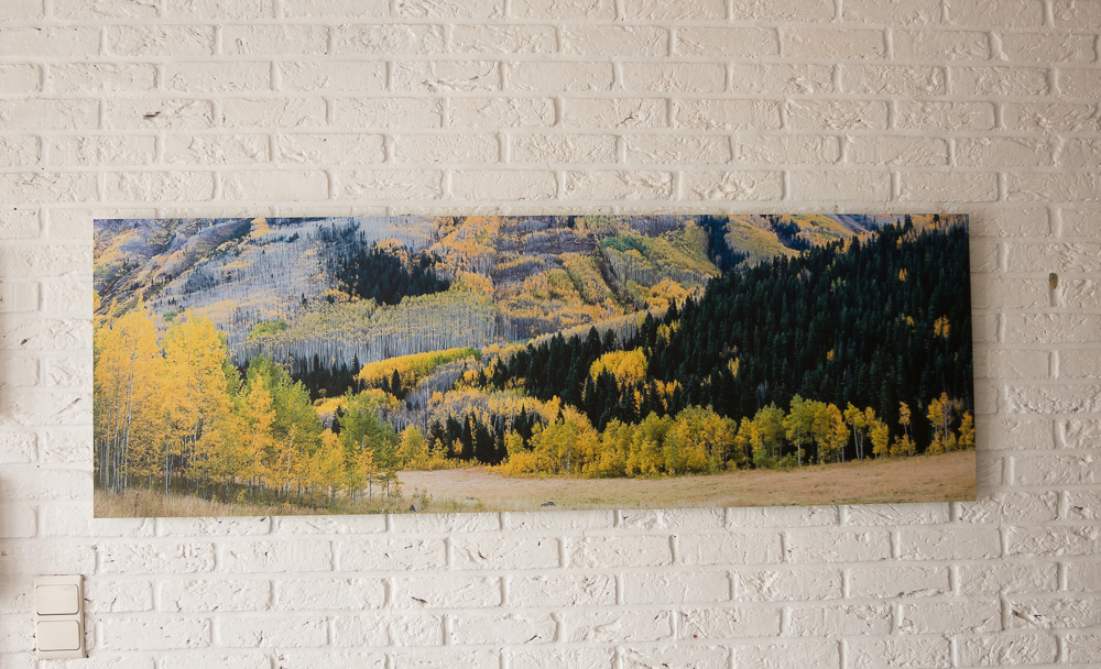 Maroon Creek valley, near Aspen, CO - Direct print on Dibond (150x50 cm)