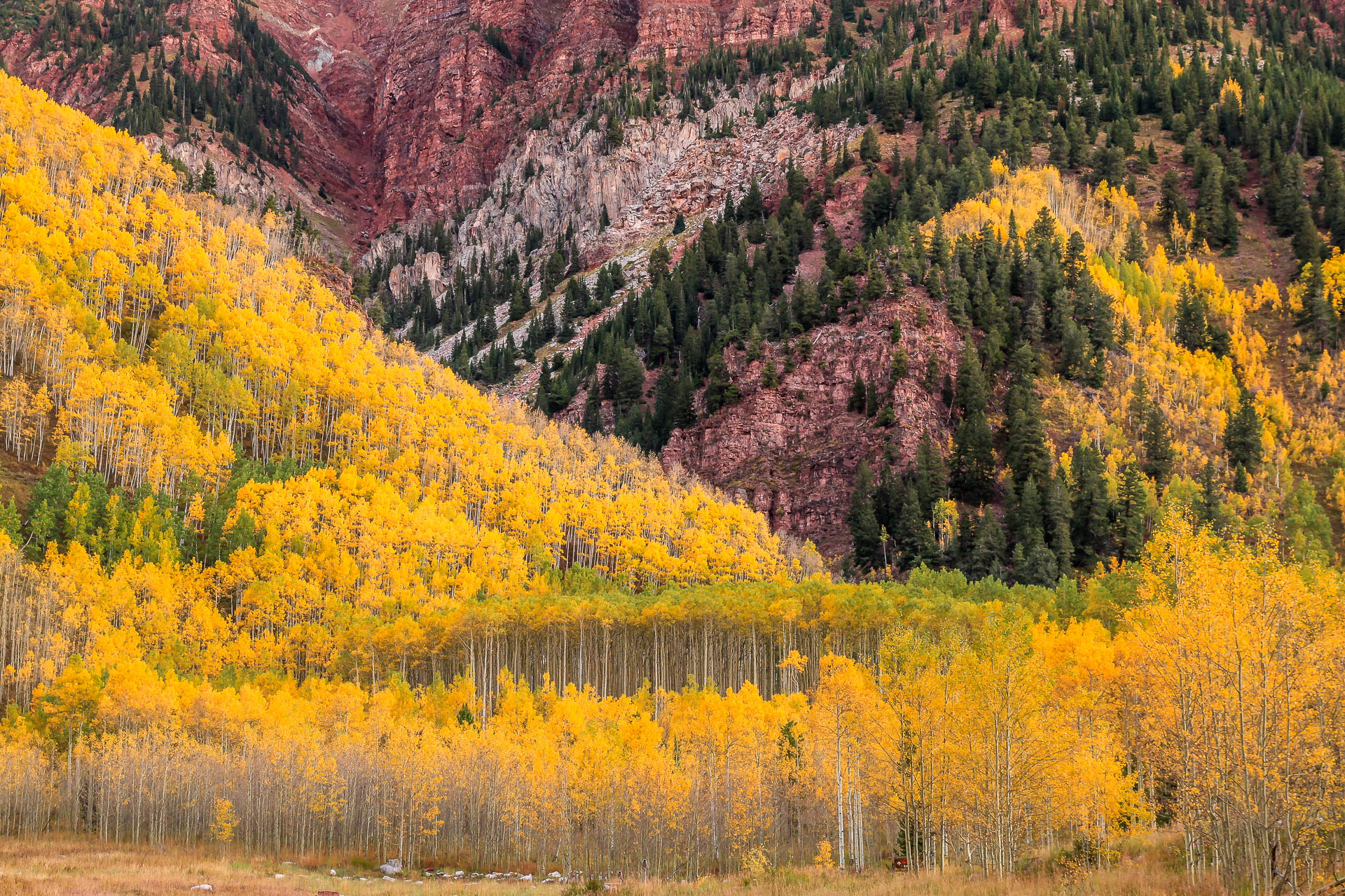 Contrast of the autumn colours against the rock (Maroon Lake, Colorado)