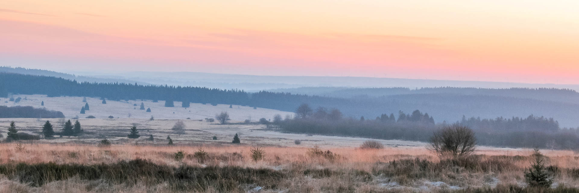 Misty dawn on the Fagnes
