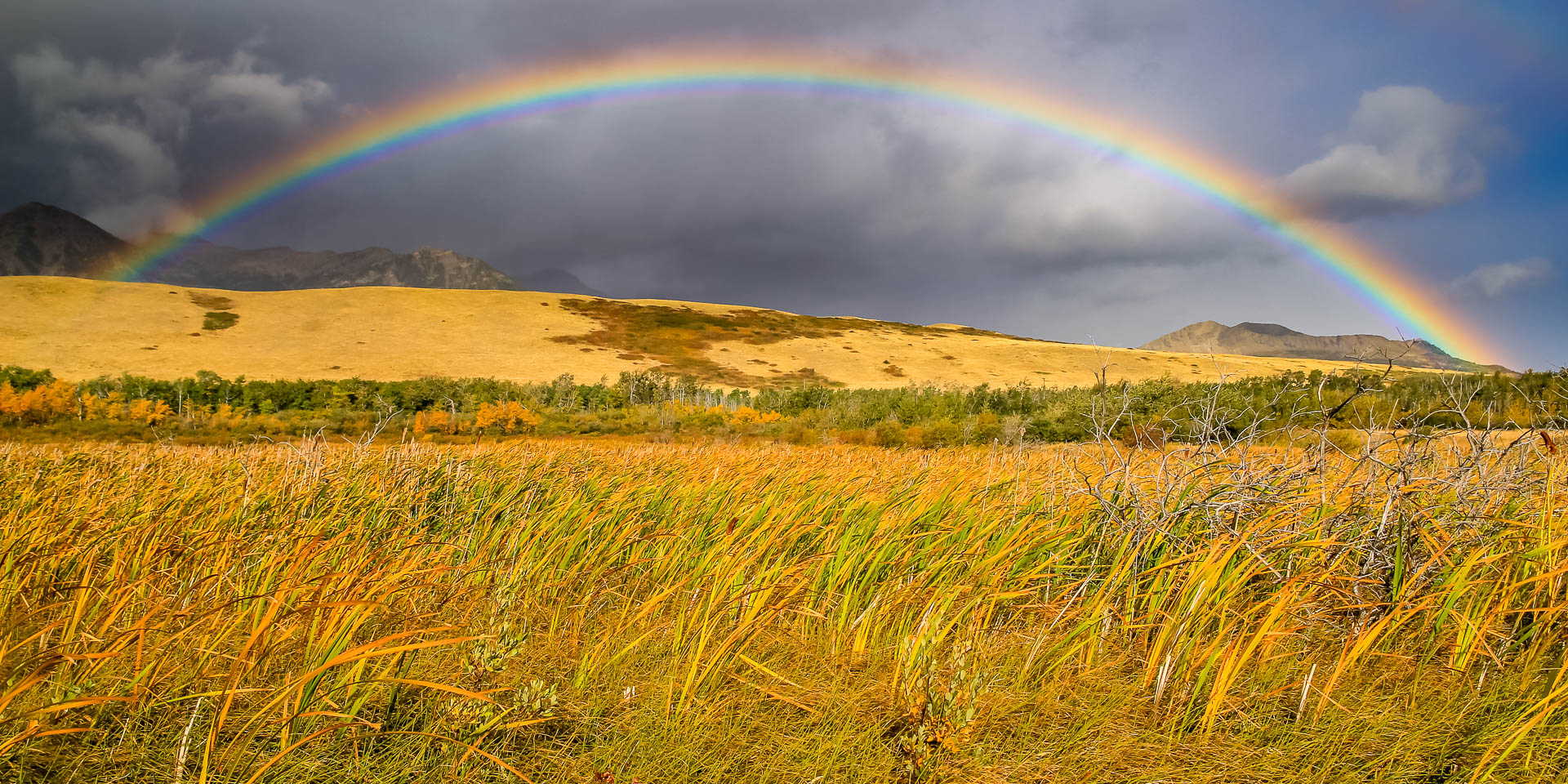 Full rainbow along the road (Montana)