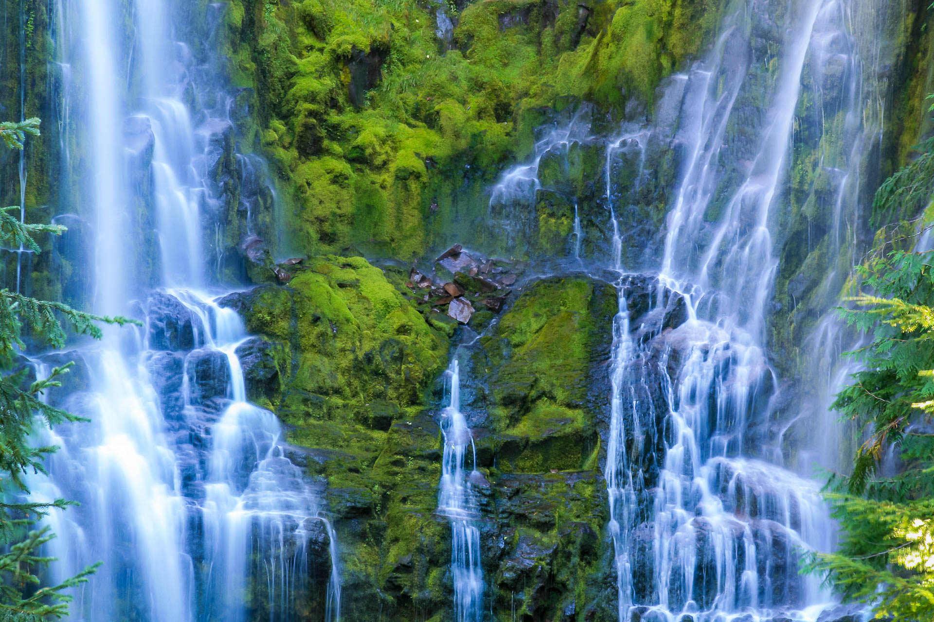 Lower Proxy Falls (Oregon)
