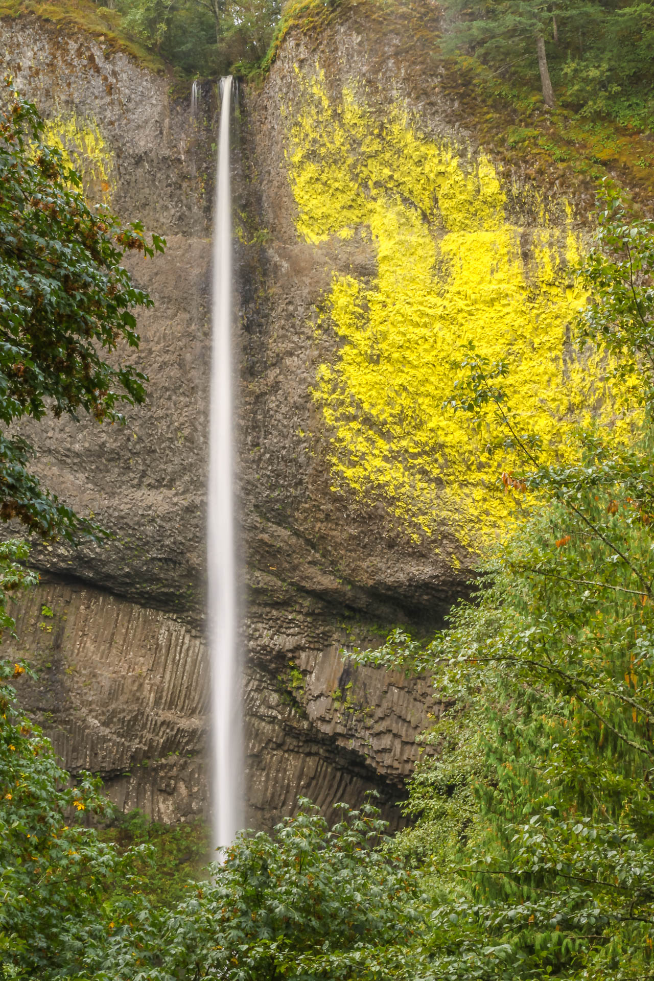 Latourell Falls (Gorge de la rivière Columbia, Oregon)