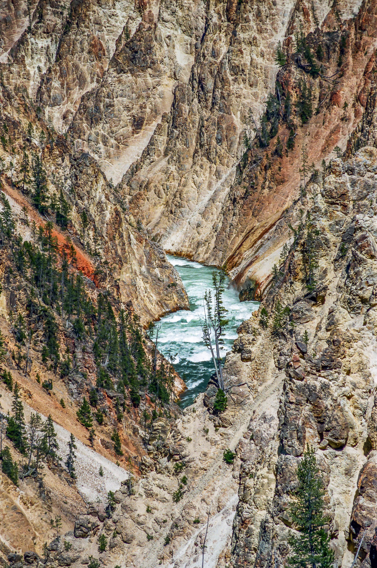 The bottom of the Grand Canyon of the Yellowstone