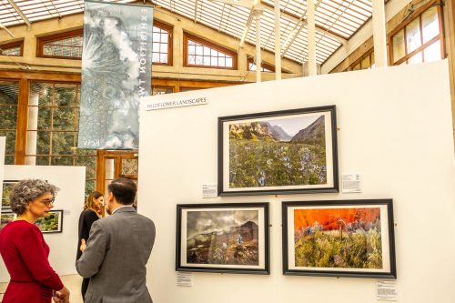 My picture "Secret Garden" at the IGPOTY 2019 exhibition (bottom right)